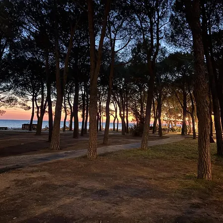 Il Giardino Nascosto Appartamento Trieste