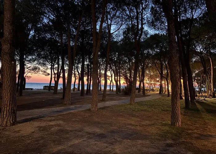 Il Giardino Nascosto Appartamento Trieste