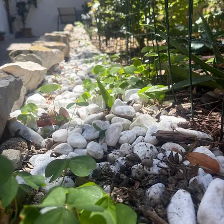 公寓 Il Giardino Nascosto 的里雅斯特