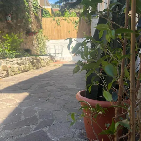 Il Giardino Nascosto 公寓 *